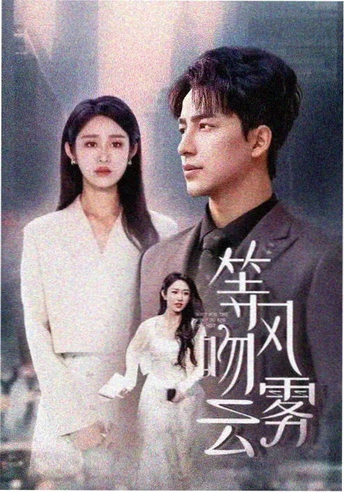 雾港档案 悬疑美剧推荐热播